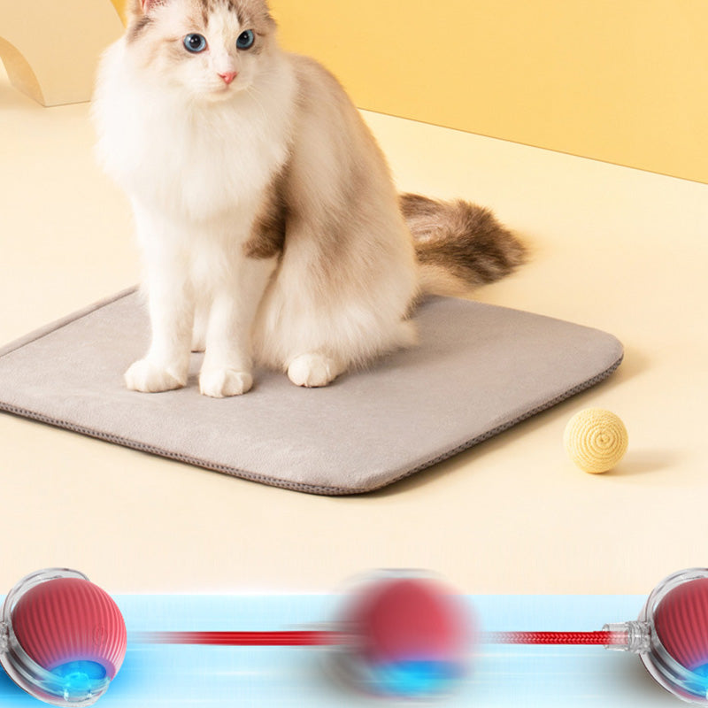 ✨ ULTIMATE PET ENTERTAINER! Smart Rolling Ball! ✨