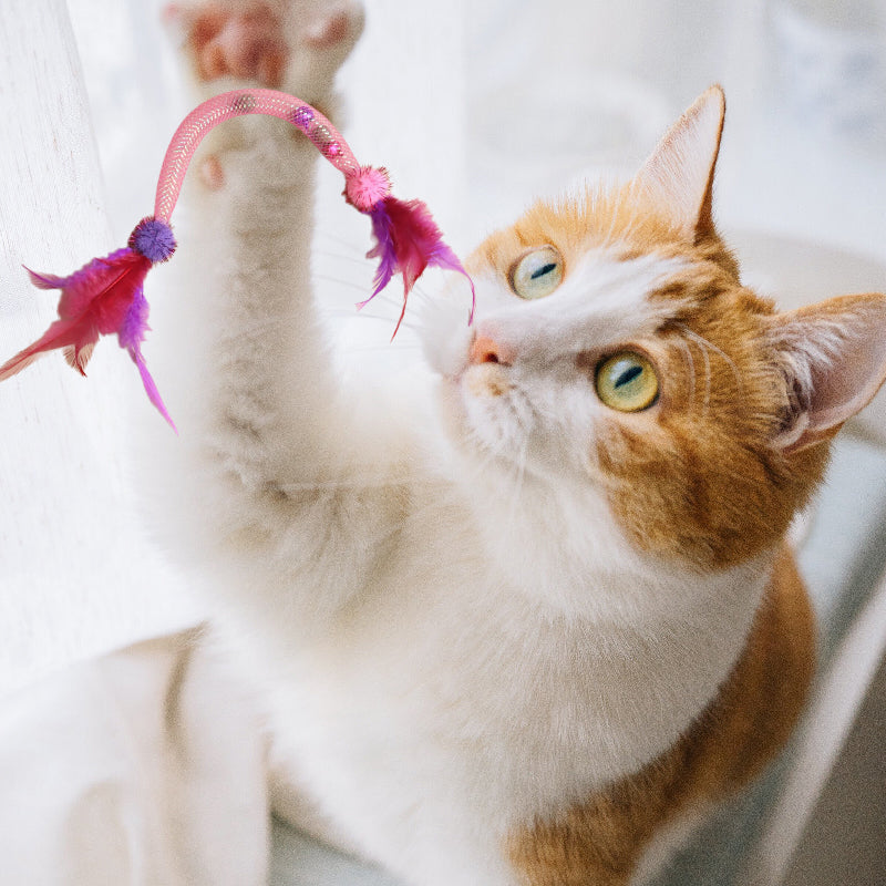 🎁BIG SALE! Cat Teaser Toys with Catnip & Feathers – Your Kitty Goes Crazy! 🐱✨