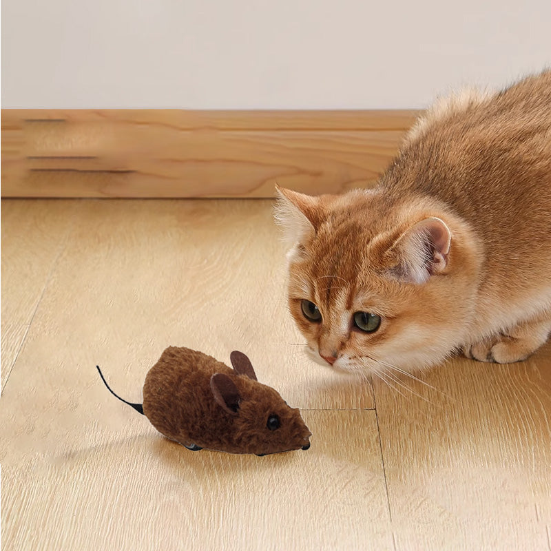 😫 BORED PET? SOLVED! 💥Mouse Toy for Cats and Dogs