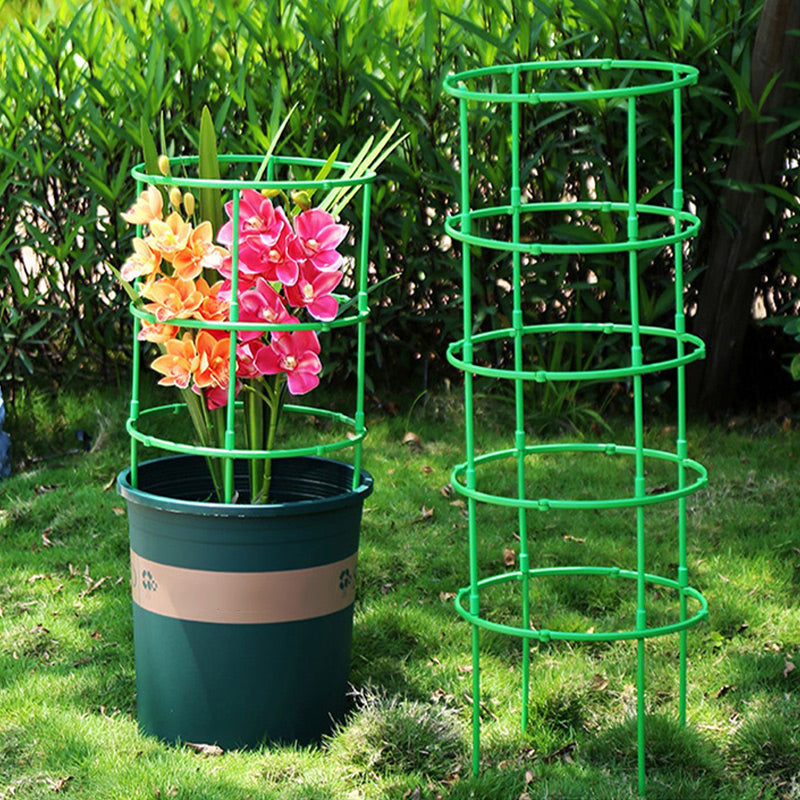 🔥Time-Limited Special🔥Detachable Plant Frame Support Stakes for Flowers and Fruits
