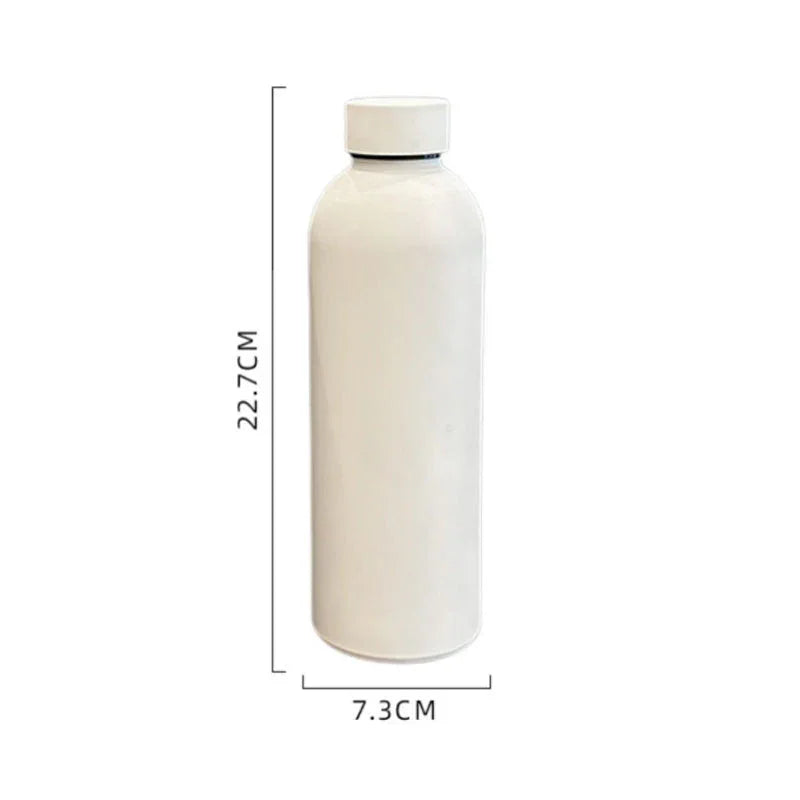 Stainless Steel Insulated Narrow-Mouth Sports Bottle