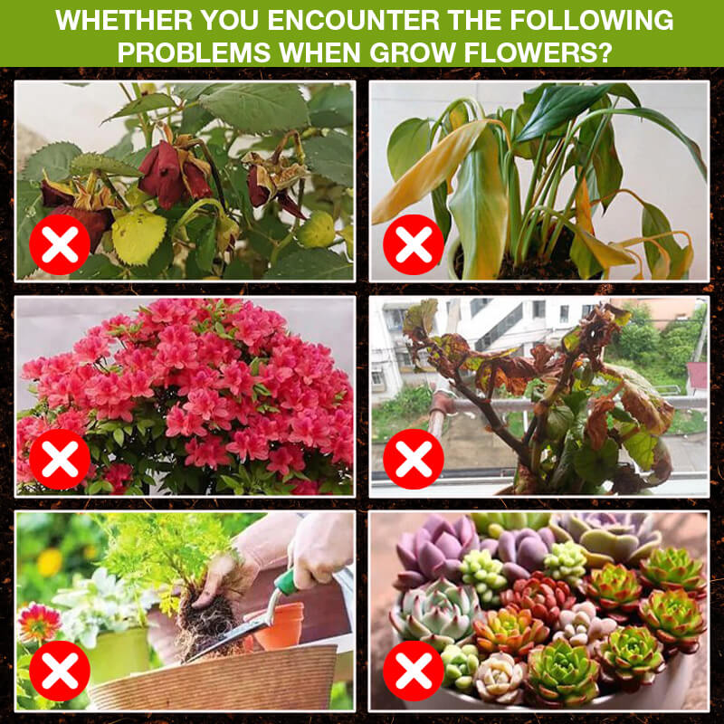 💥Last Day Promotion 50% OFF💥 Plant Growth Enhancer Supplement🌿