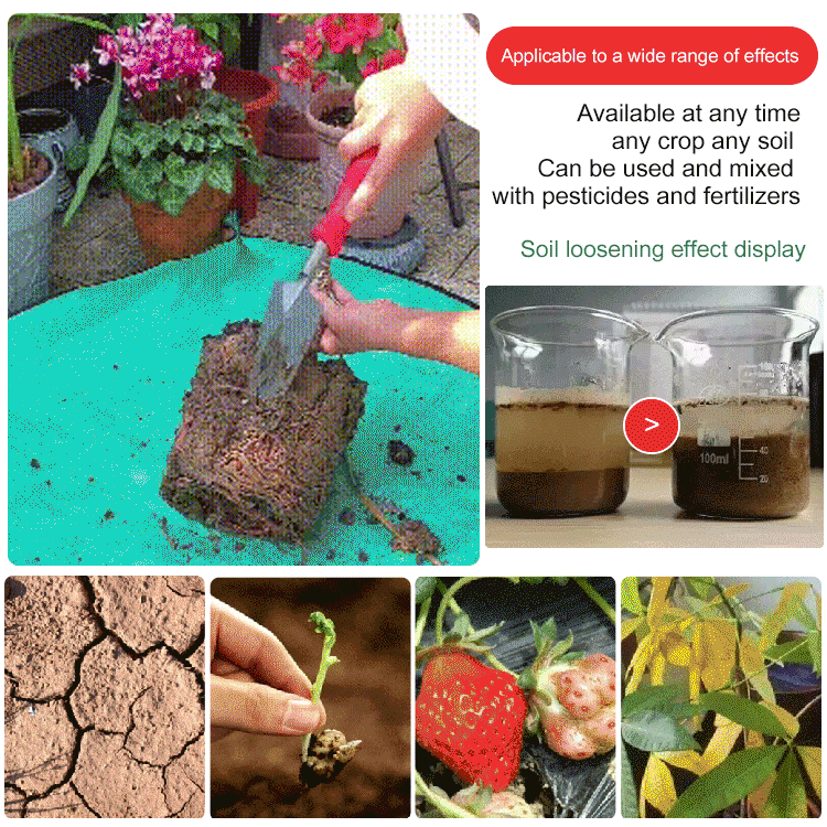 🔥Limited Sale - BUY 1 GET 1 FREE🔥Soil Improvement Loosening Agent（HOT）