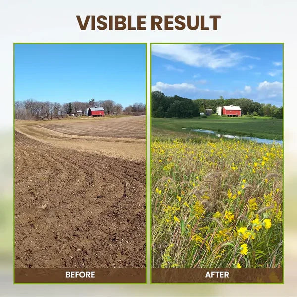 🔥Limited Sale - BUY 1 GET 1 FREE🔥Soil Improvement Loosening Agent（HOT）