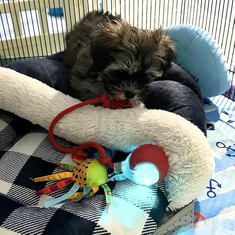 ✨ ULTIMATE PET ENTERTAINER! Smart Rolling Ball! ✨