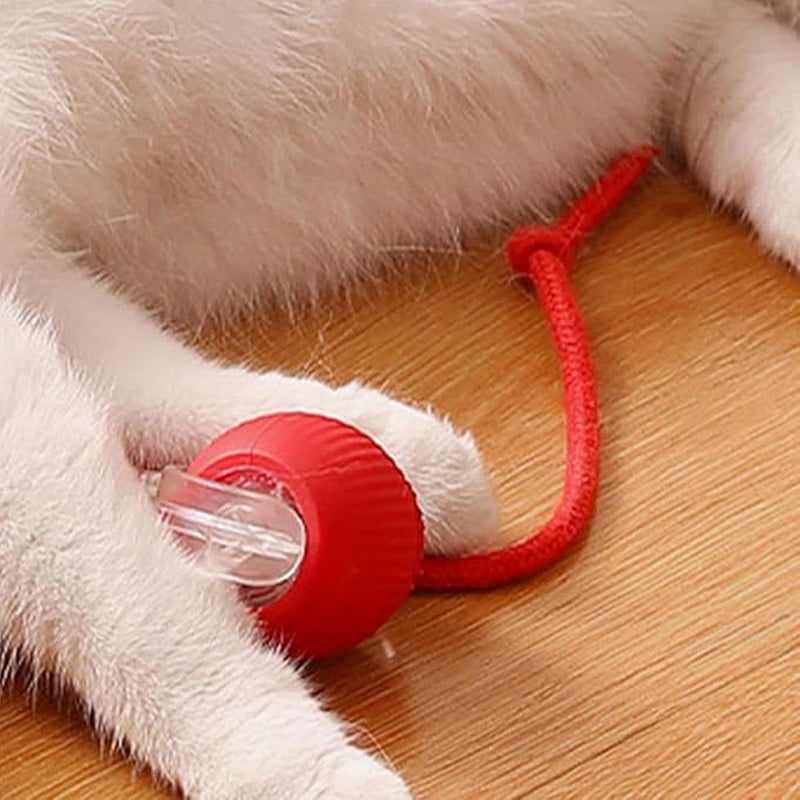 ✨ ULTIMATE PET ENTERTAINER! Smart Rolling Ball! ✨
