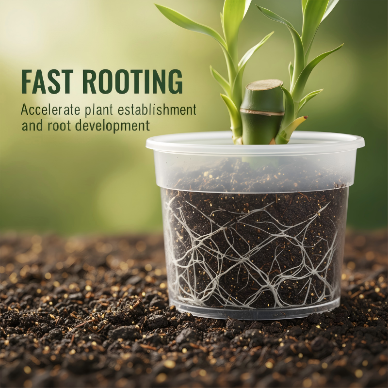 Rooting Hormone Solution for Stem Cuttings
