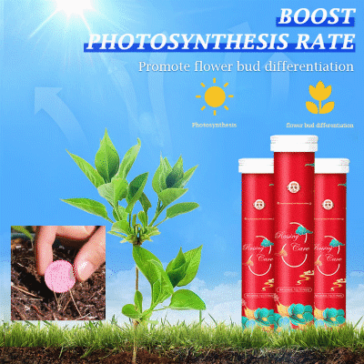 🔥2025 Hot Sale 50%OFF 🌞Home Gardening Universal Slow-Release Tablet Organic Fertilizer