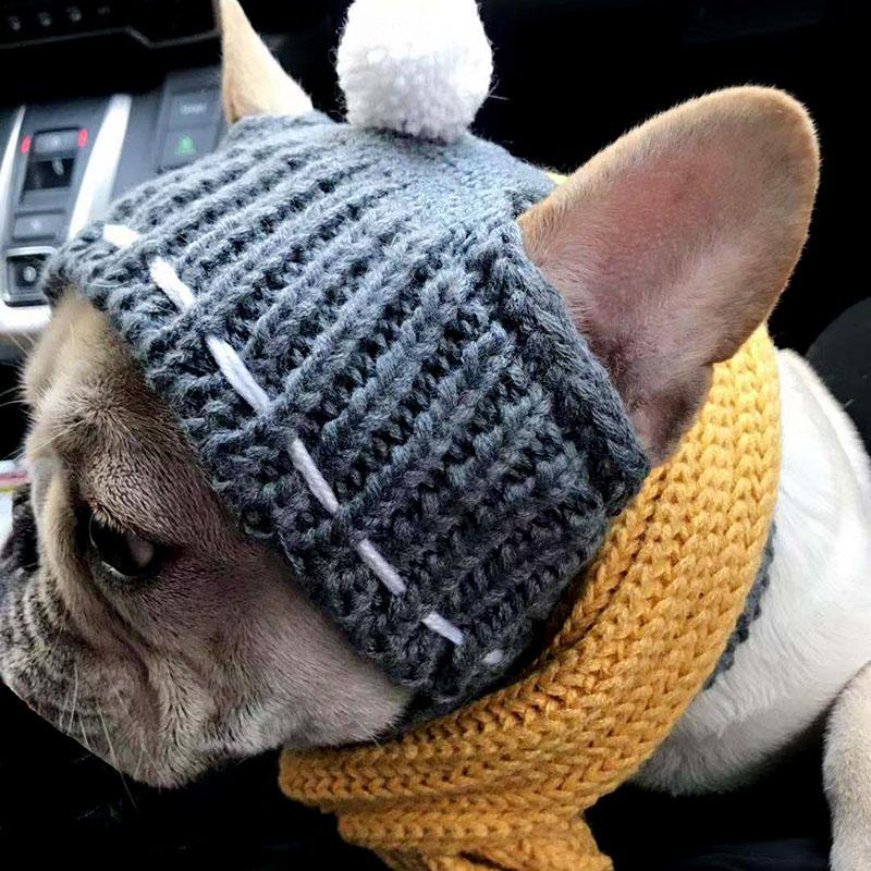 Winter Woolen Hat for French Bulldog