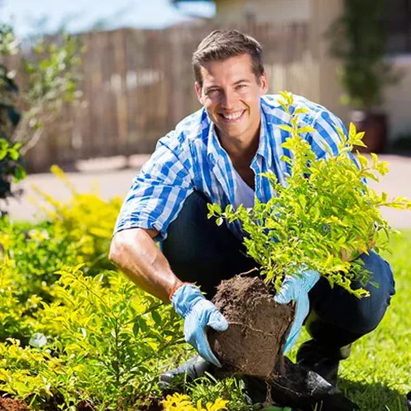 🔥Limited Sale - BUY 1 GET 1 FREE🔥Soil Improvement Loosening Agent（HOT）