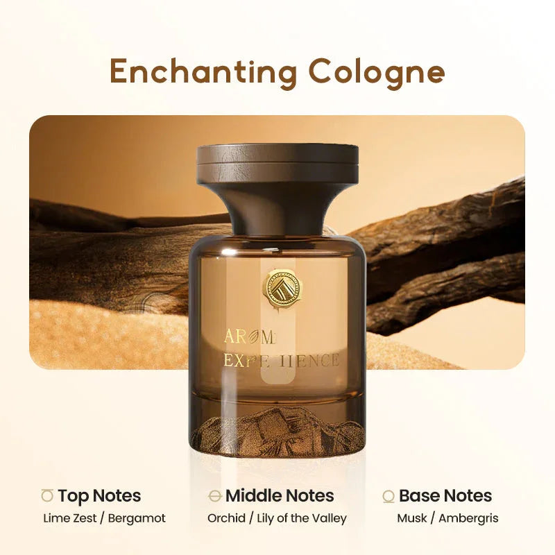 🌹Botanical Fragrance Car Oil Diffuser✨