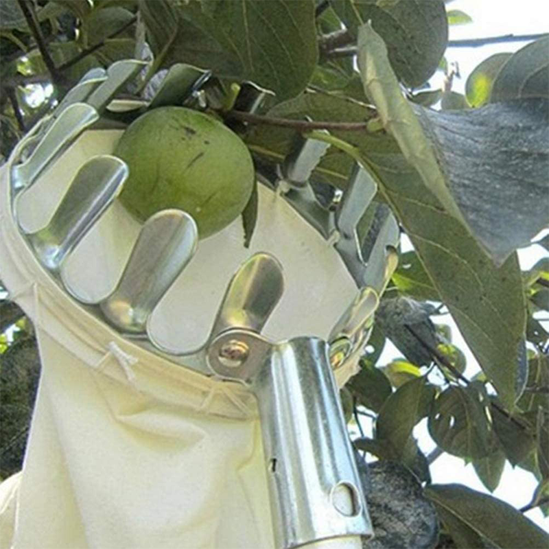 Fruit Picker Head Basket（40% OFF）