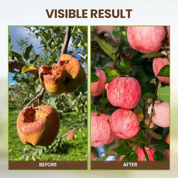 🔥Limited Sale - BUY 1 GET 1 FREE🔥Soil Improvement Loosening Agent（HOT）