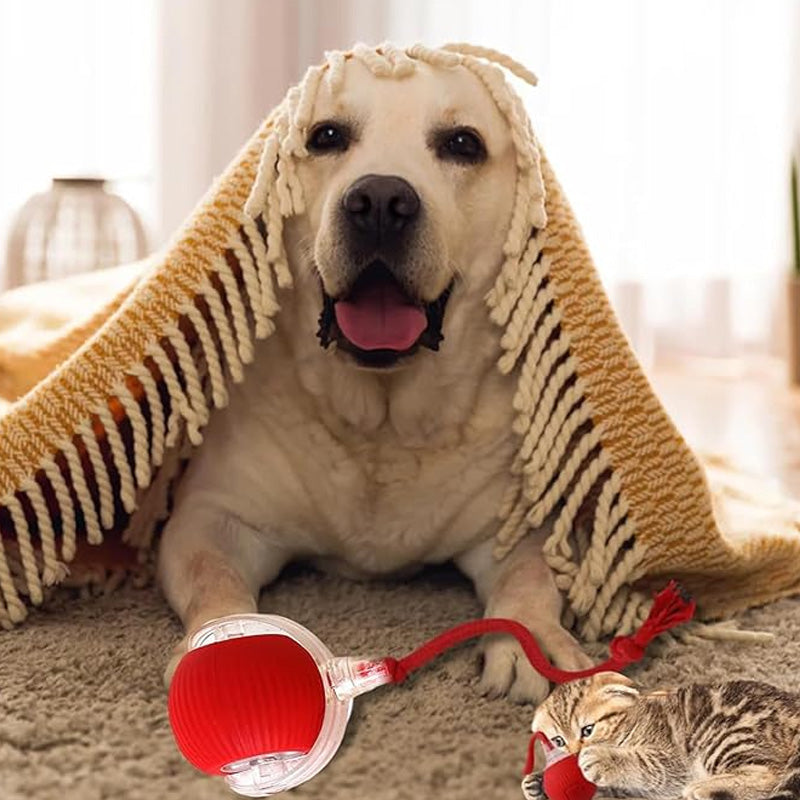 ✨ ULTIMATE PET ENTERTAINER! Smart Rolling Ball! ✨