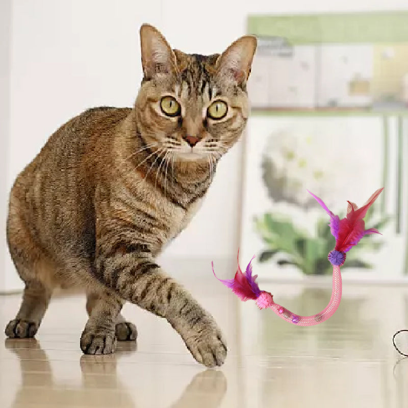 🎁BIG SALE! Cat Teaser Toys with Catnip & Feathers – Your Kitty Goes Crazy! 🐱✨
