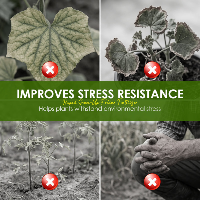 Rapid Green-Up Foliar Fertilizer