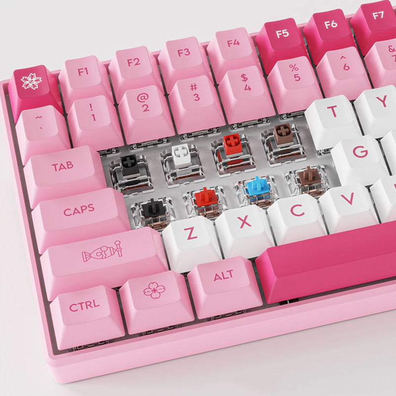 ACGAM 6096 Pink 96% Mechanical Keyboard