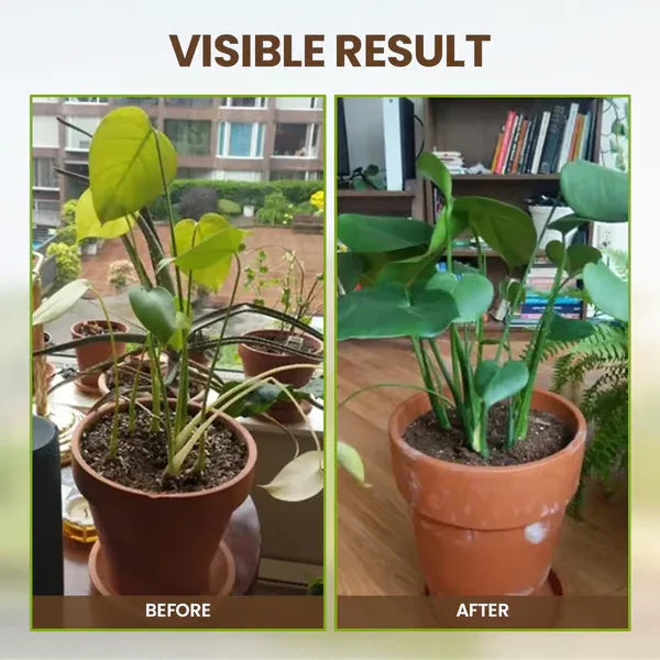 🔥Limited Sale - BUY 1 GET 1 FREE🔥Soil Improvement Loosening Agent（HOT）