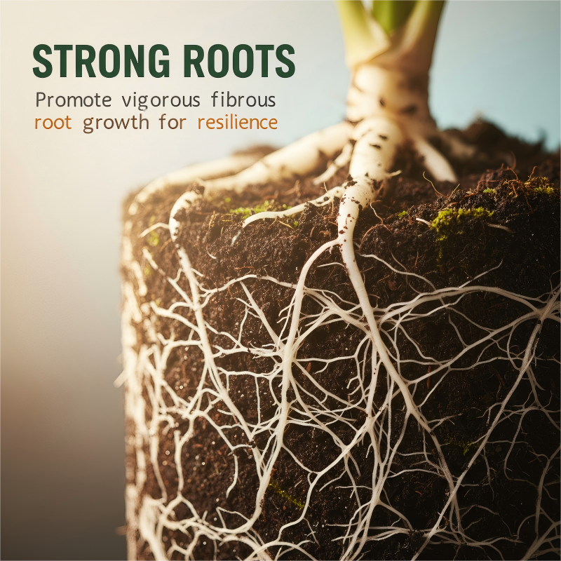 Rooting Hormone Solution for Stem Cuttings