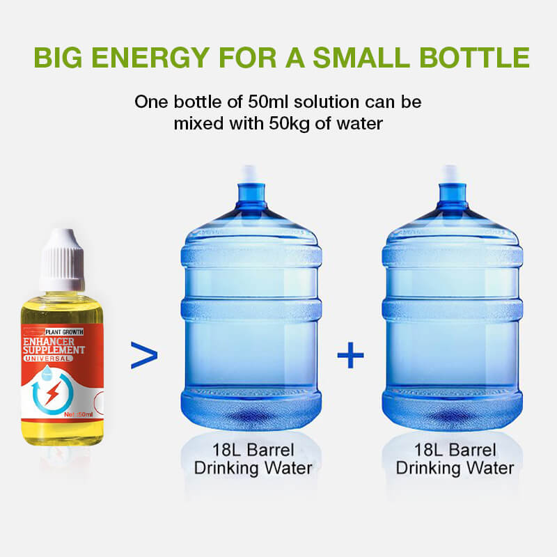 💥Last Day Promotion 50% OFF💥 Plant Growth Enhancer Supplement🌿