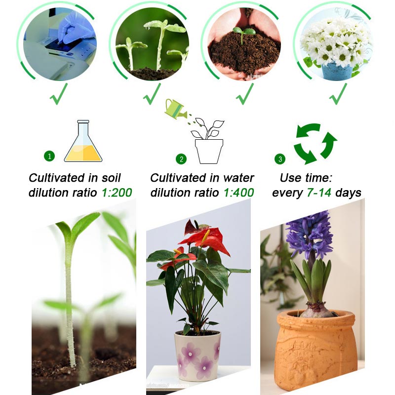 🔥Limited-time offer-All-purpose Concentrated Nutrient Solution Fertilizer