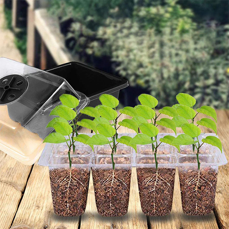 ⏰Limited offer 50% Discount🔥Seed Starter Trays with Grow Light