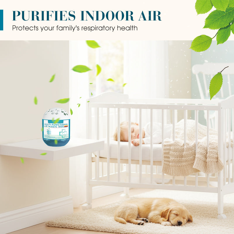 🔥Limited-Time Pre-Sale⏰Indoor Air Purification Dust Removal Magic Box🏠🌿