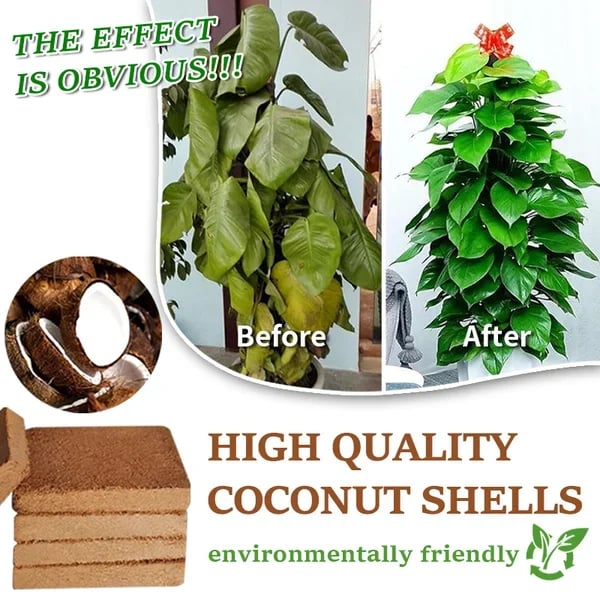 🌱Hot Sale 49% OFF⏰ - Premium Organic Coconut Coir Bricks For Plants