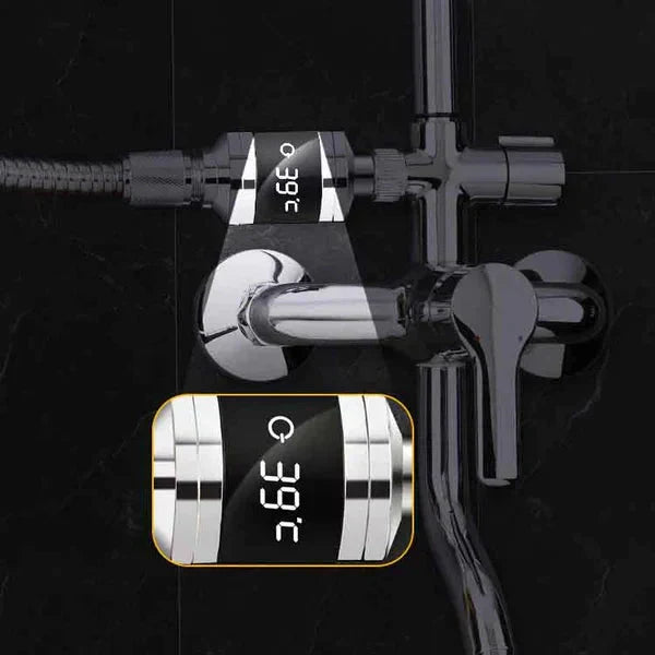 Shower Thermometer