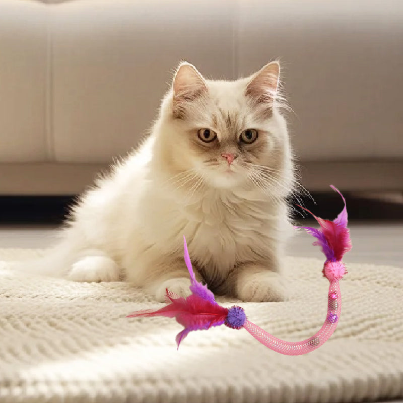 🎁BIG SALE! Cat Teaser Toys with Catnip & Feathers – Your Kitty Goes Crazy! 🐱✨