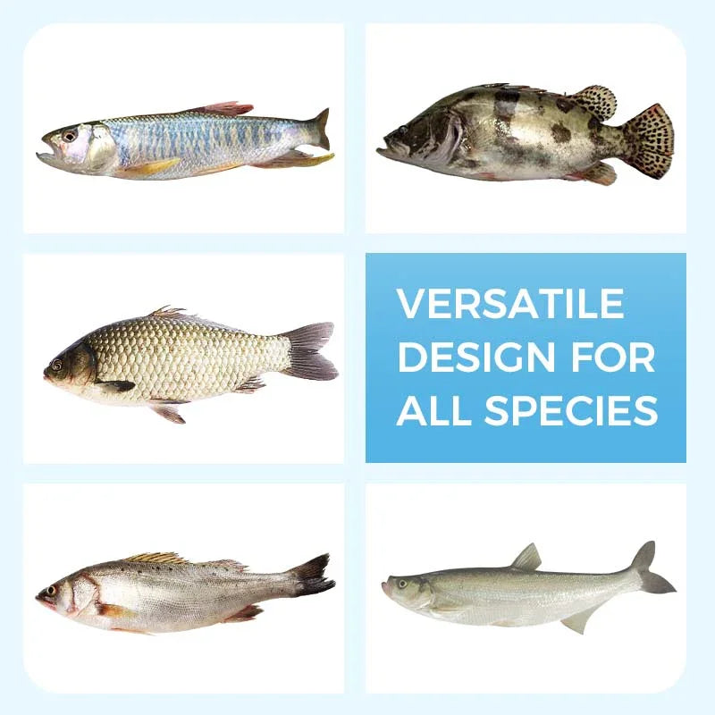 🦈Soft Floating Worm Lure Bait for Fishing