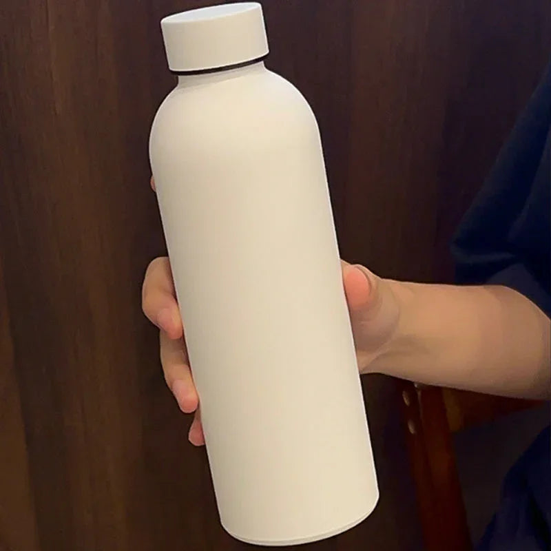Stainless Steel Insulated Narrow-Mouth Sports Bottle