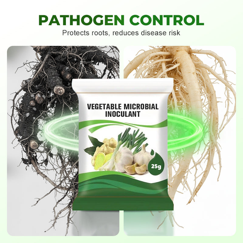Vegetable Microbial Inoculant for Garlic & Ginger