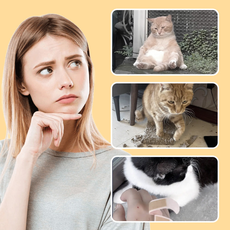 😫 BORED PET? SOLVED! 💥Mouse Toy for Cats and Dogs