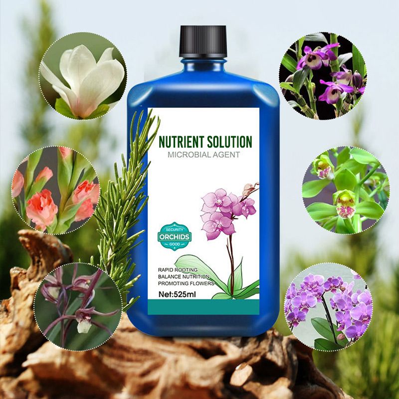 Solution nutritive concentrée pour les plantes - Achetez 3 gratuits 2