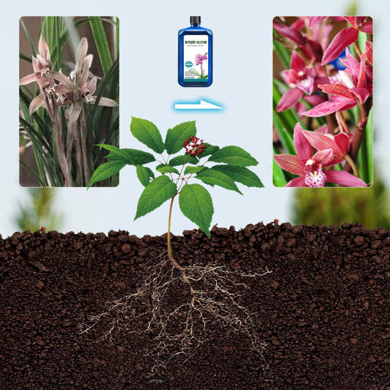Pousbo® Orchids Plant Concentrated Nutrient Solution