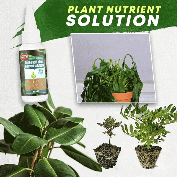 ✨BUY 3 GET 2 FREE✨ PLANT NUTRIENT SOLUTION✨ SPRING HOT SALE 50% OFF